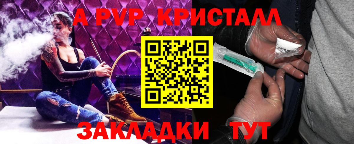 A PVP СК КРИС Магадан