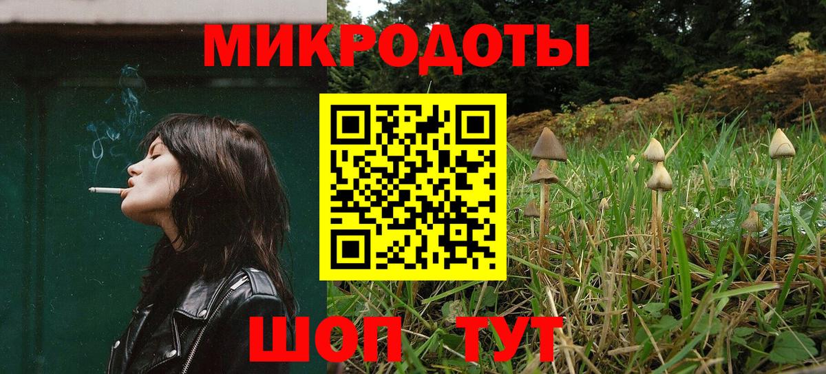 Псилоцибиновые грибы GOLDEN TEACHER Магадан
